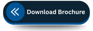 download syllabus